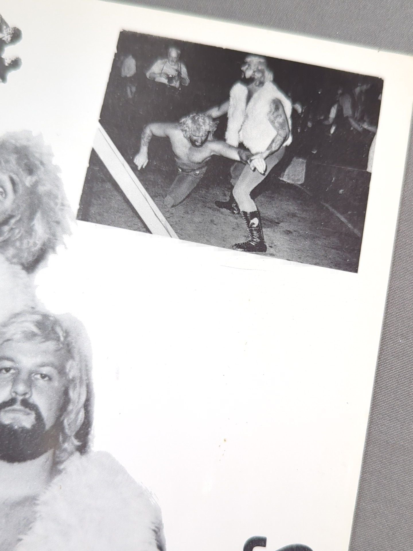 ザ・キウイズ (ザ・ブッシュワッカーズ) 白黒ポートレート (A-1)