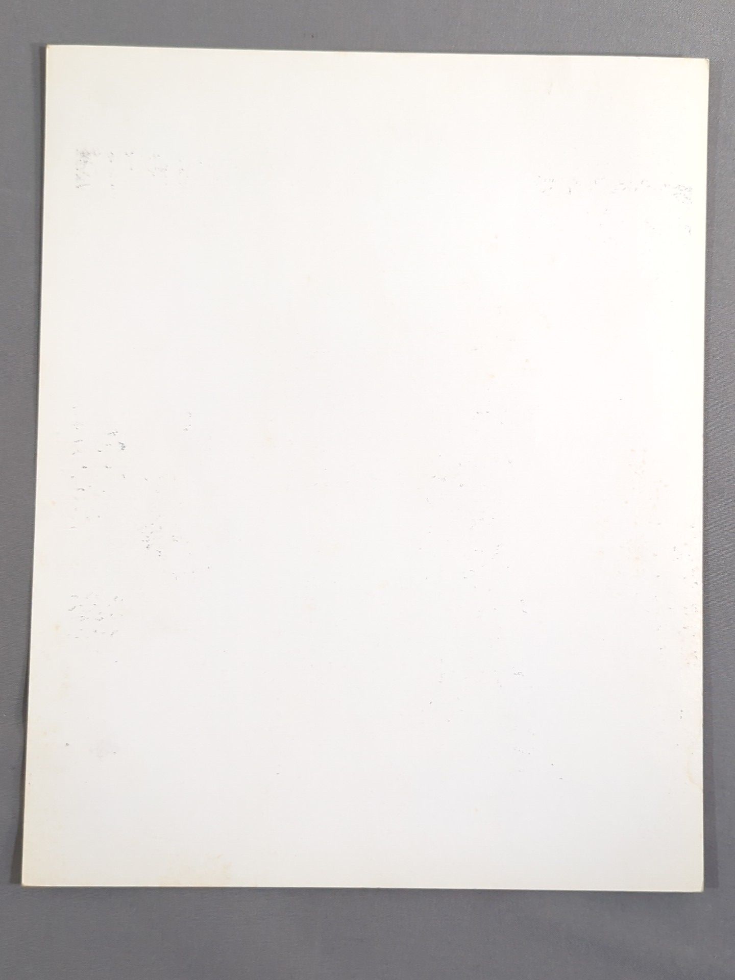 ザ・キウイズ (ザ・ブッシュワッカーズ) 白黒ポートレート (A-1)