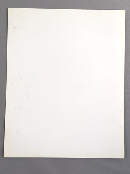 ザ・キウイズ (ザ・ブッシュワッカーズ) 白黒ポートレート (A-1)