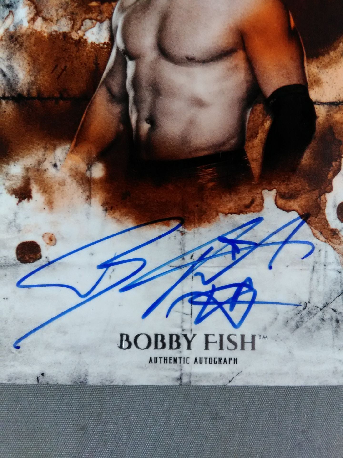 2018 NXT topps ボビー・フィッシュ 公式サインカード