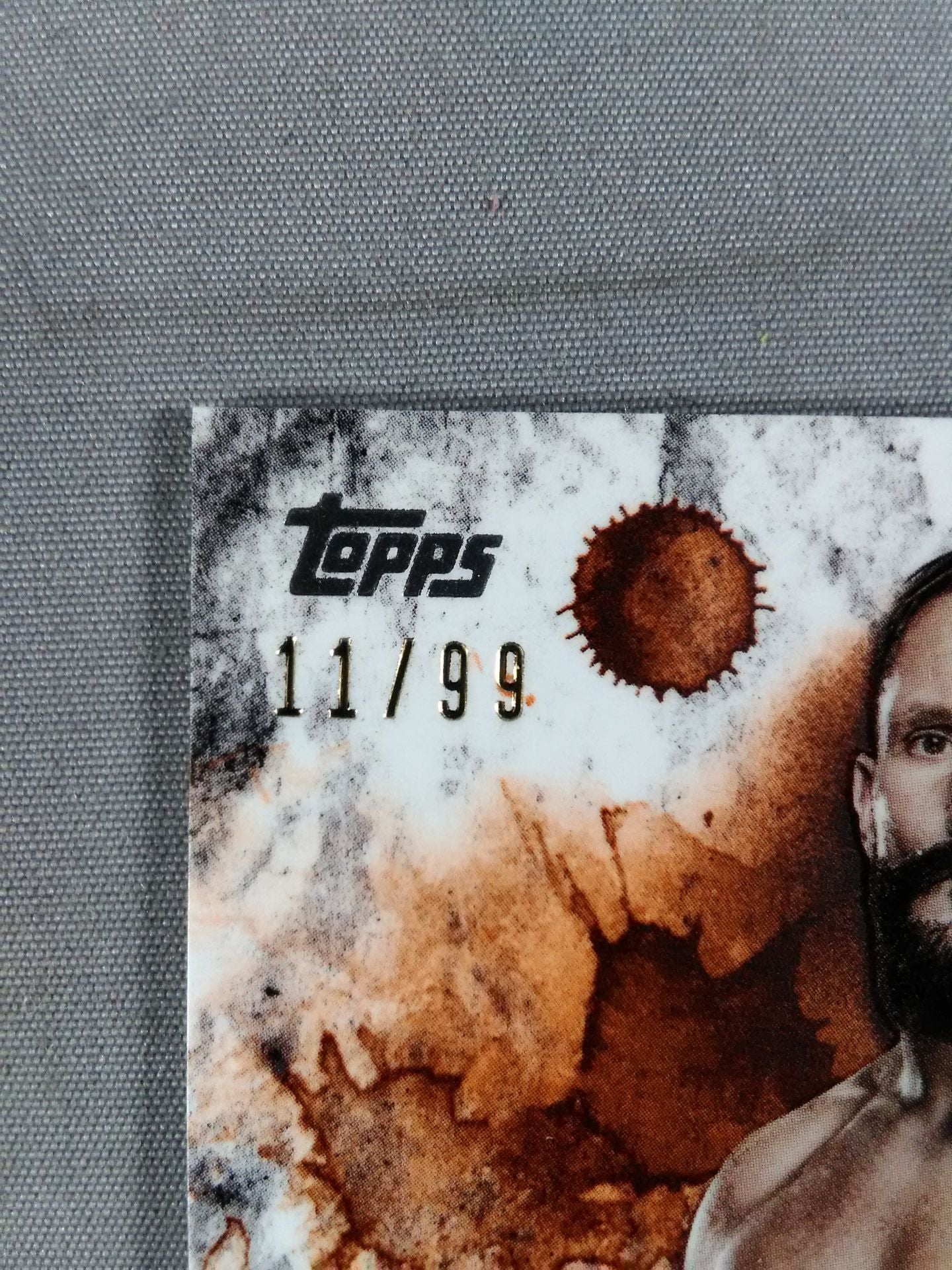 2018 NXT topps ボビー・フィッシュ 公式サインカード
