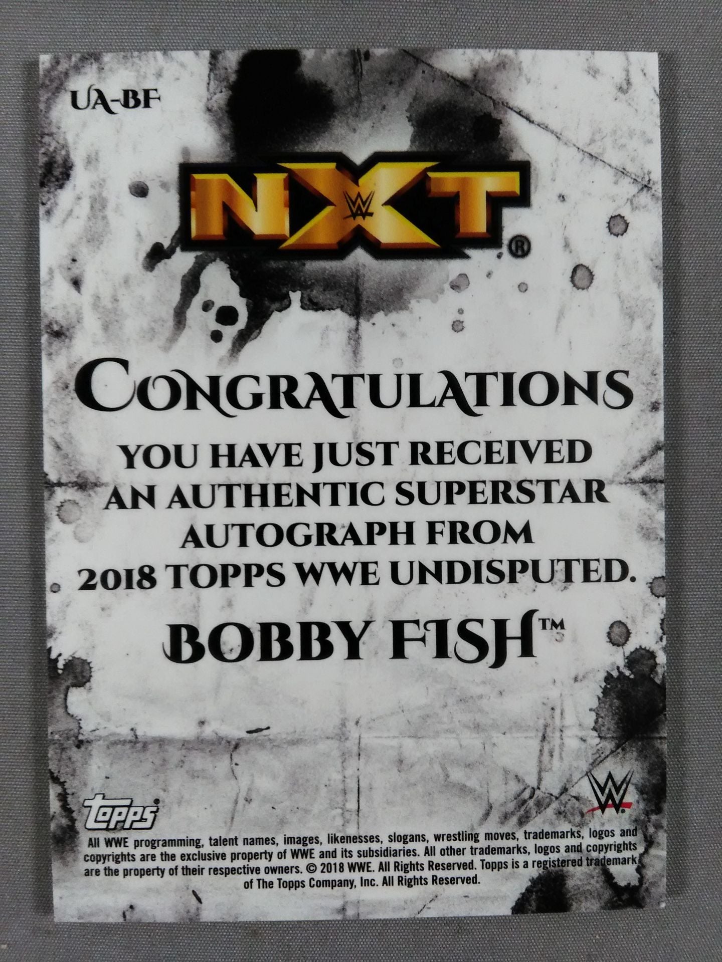 2018 NXT topps ボビー・フィッシュ 公式サインカード