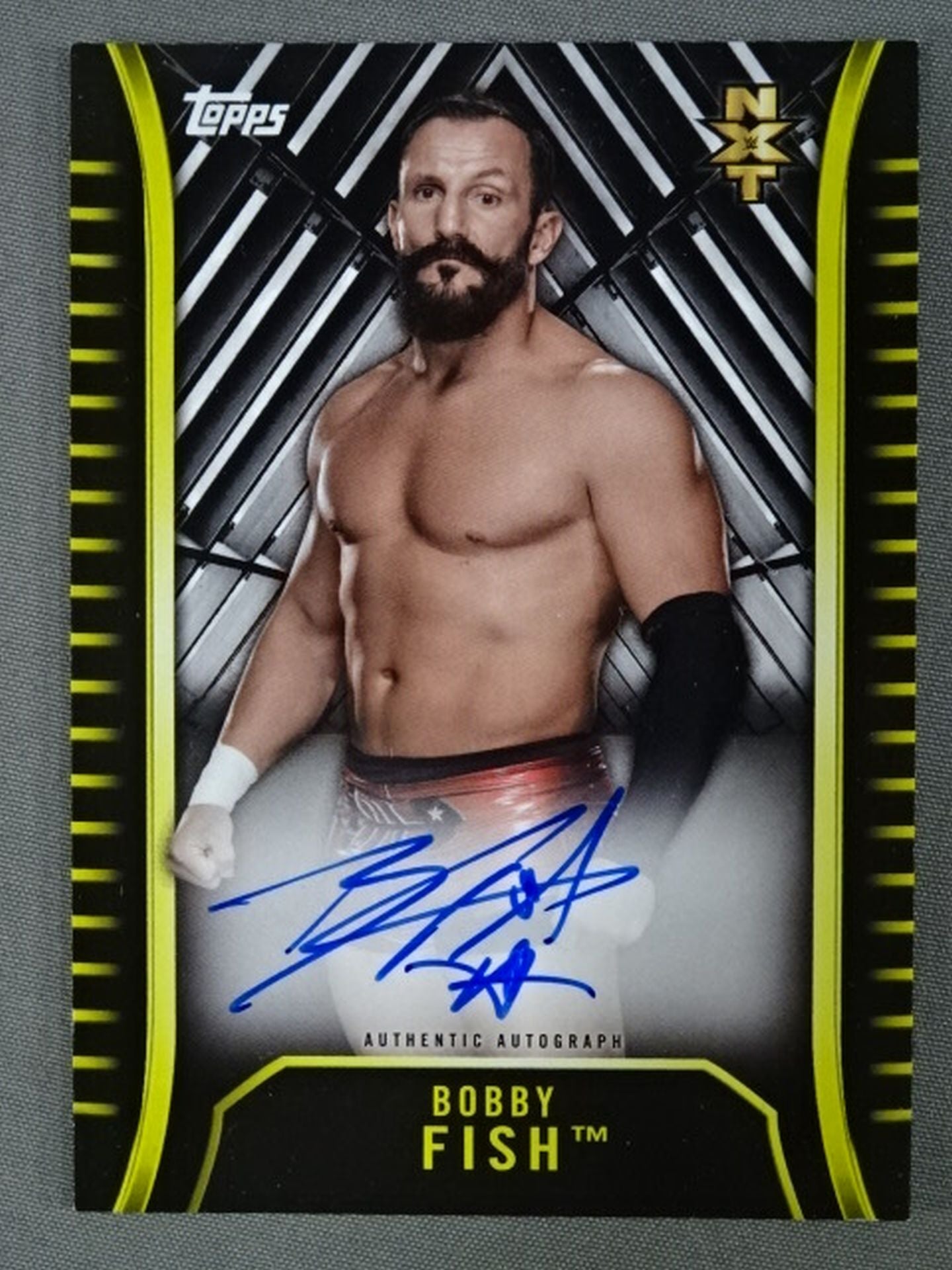 2018 NXT topps ボビー・フィッシュ 公式サインカード