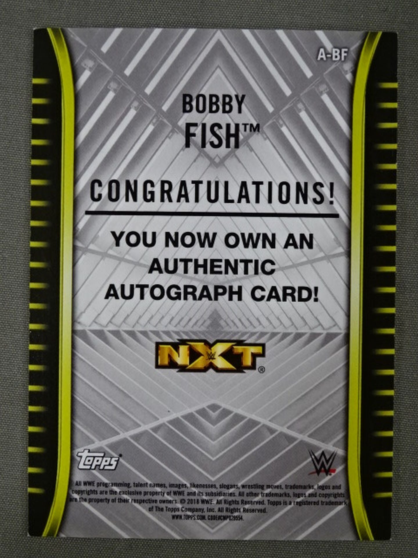 2018 NXT topps ボビー・フィッシュ 公式サインカード