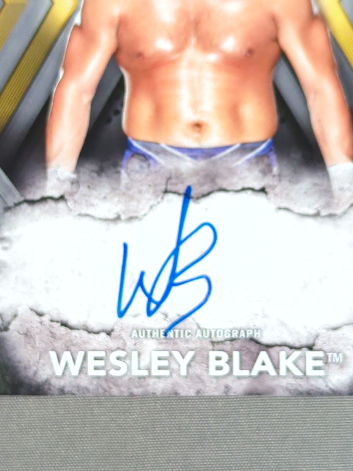 2017 topps NXT ウェスリー・ブレイク 公式サインカード