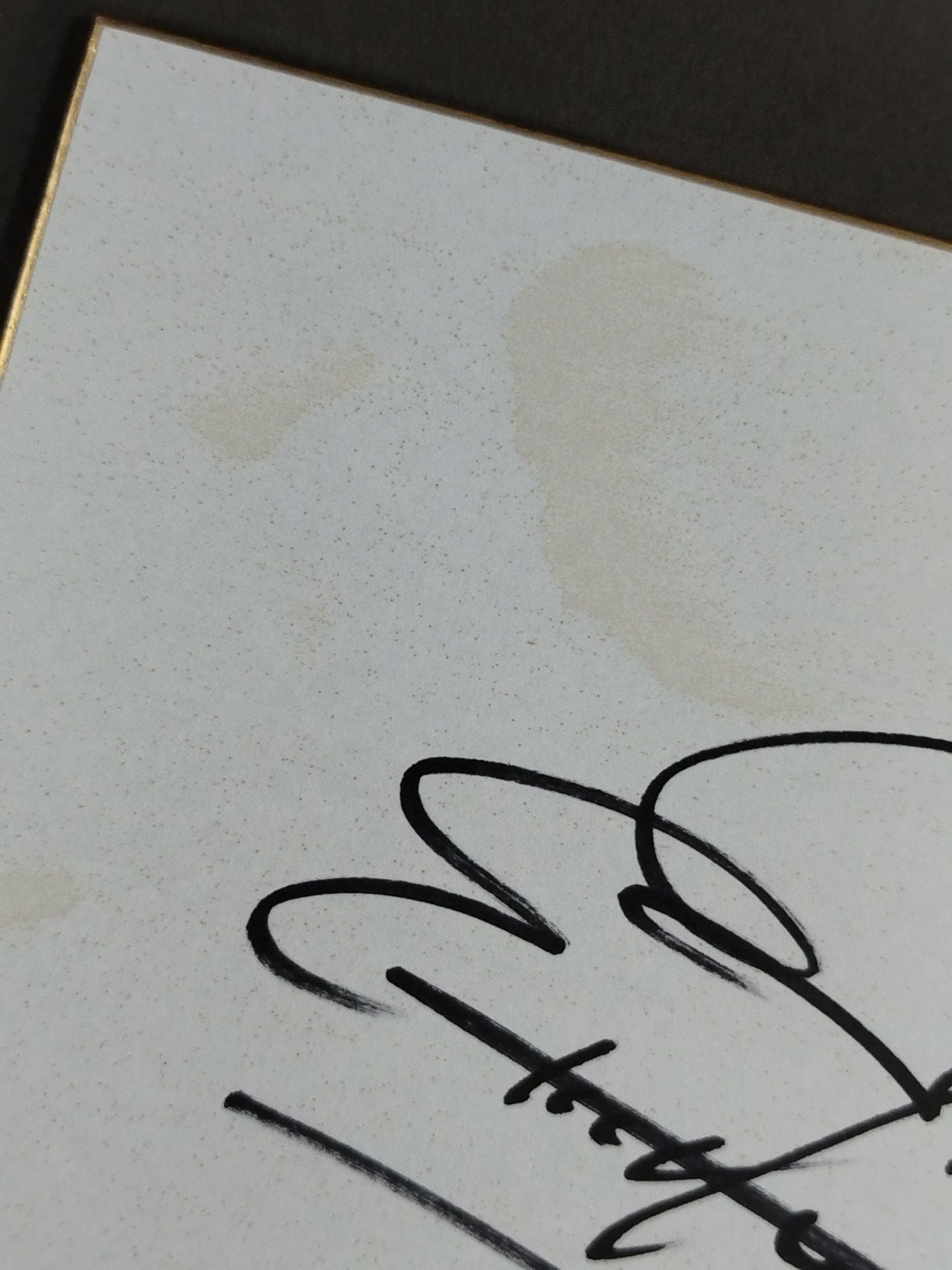 エミリオ・チャレス・ジュニア