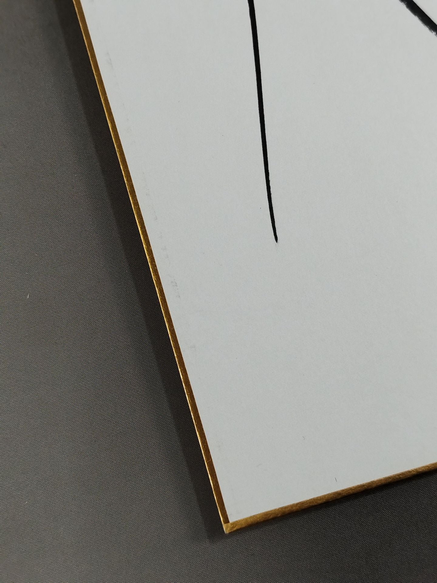 エル・イホ・デル・パンテーラ