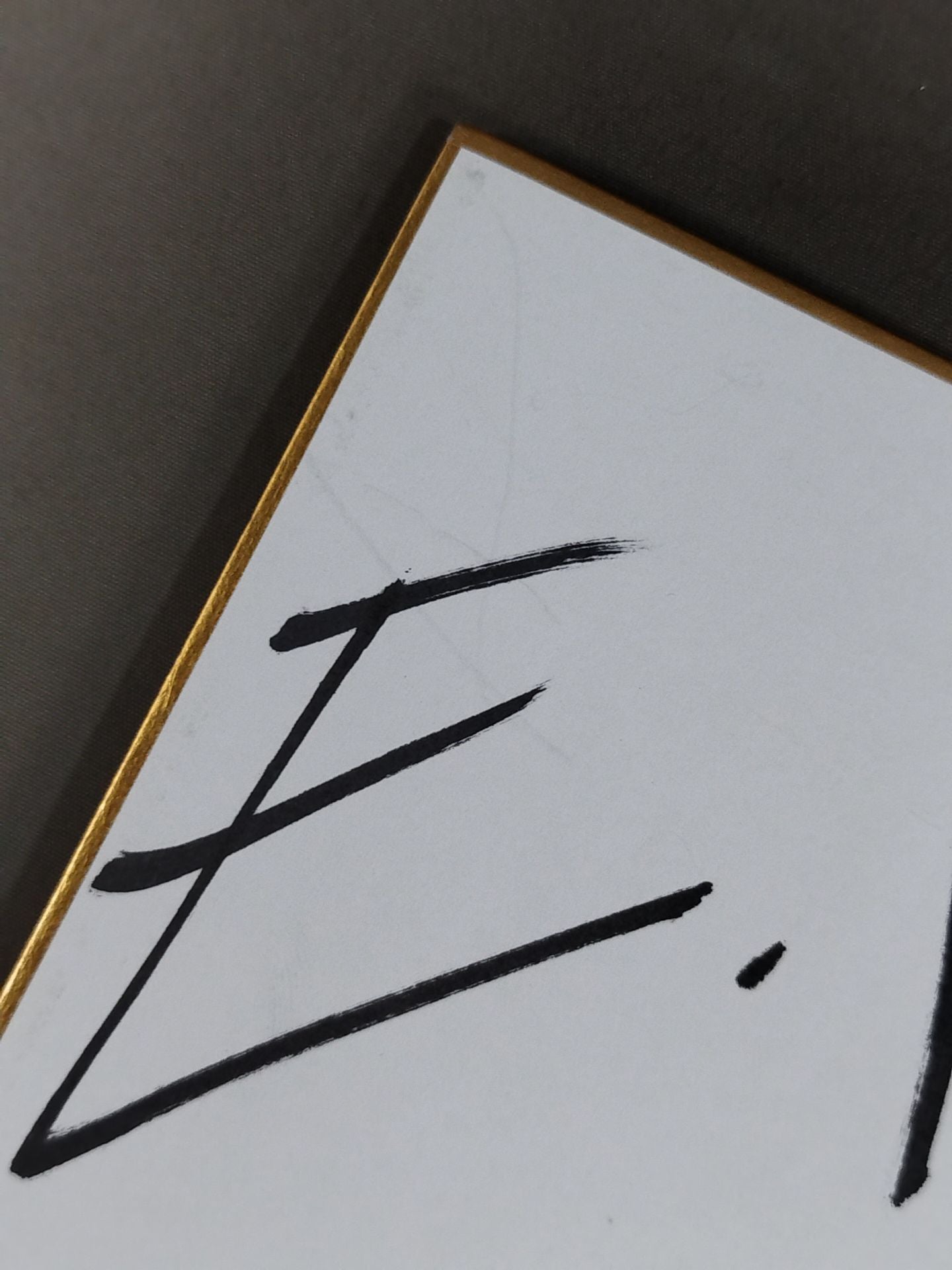 エル・イホ・デル・パンテーラ