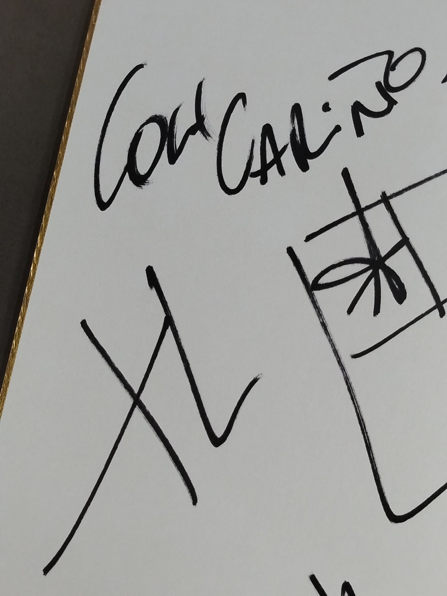 エクストラ・ラージ(アレハンドロ・サエス)