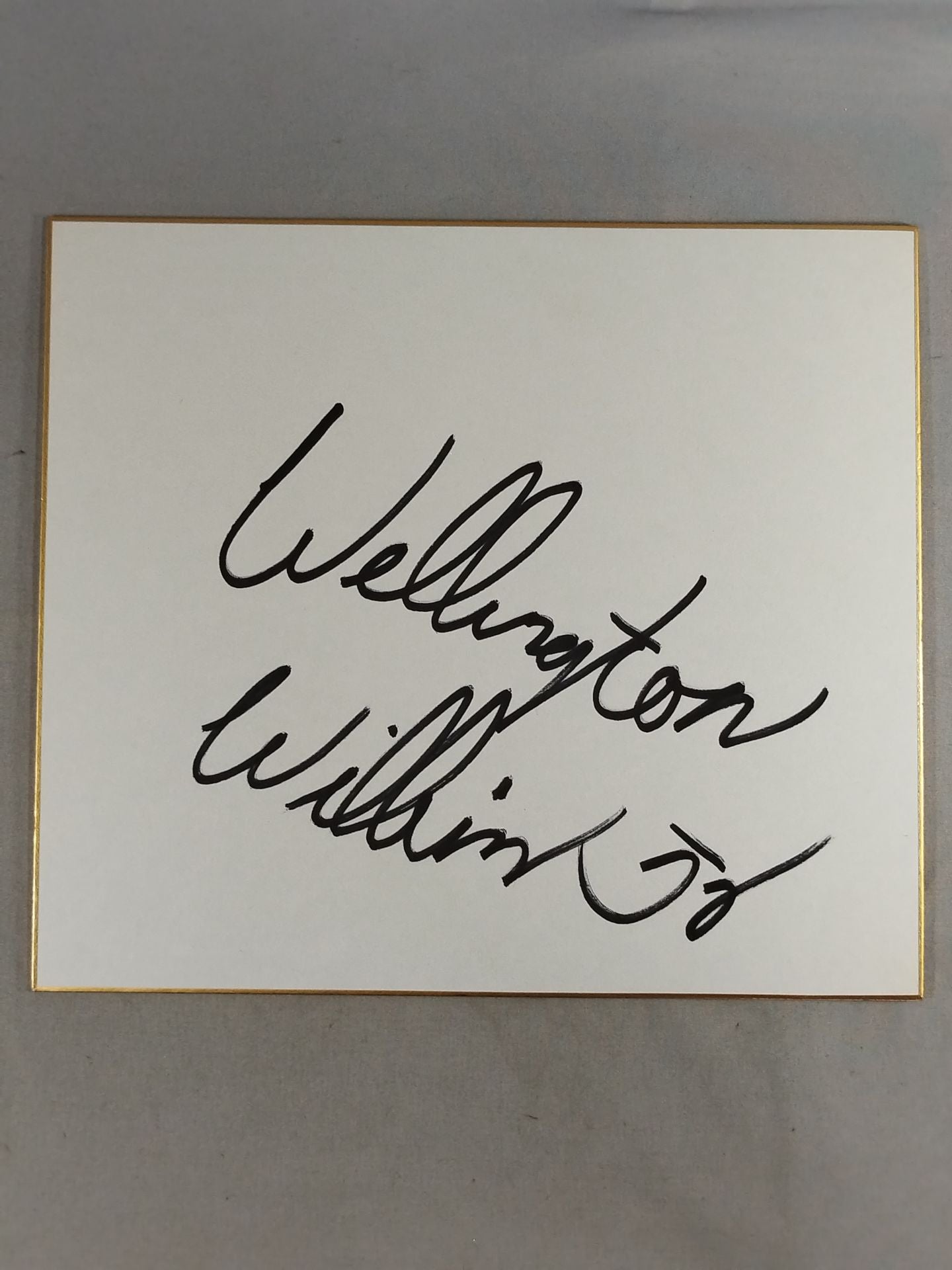 Wellington Wilkins Jr.