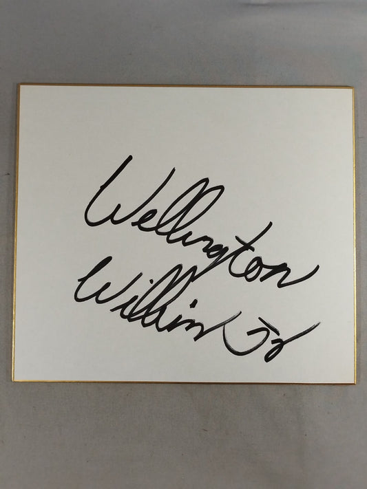 Wellington Wilkins Jr.