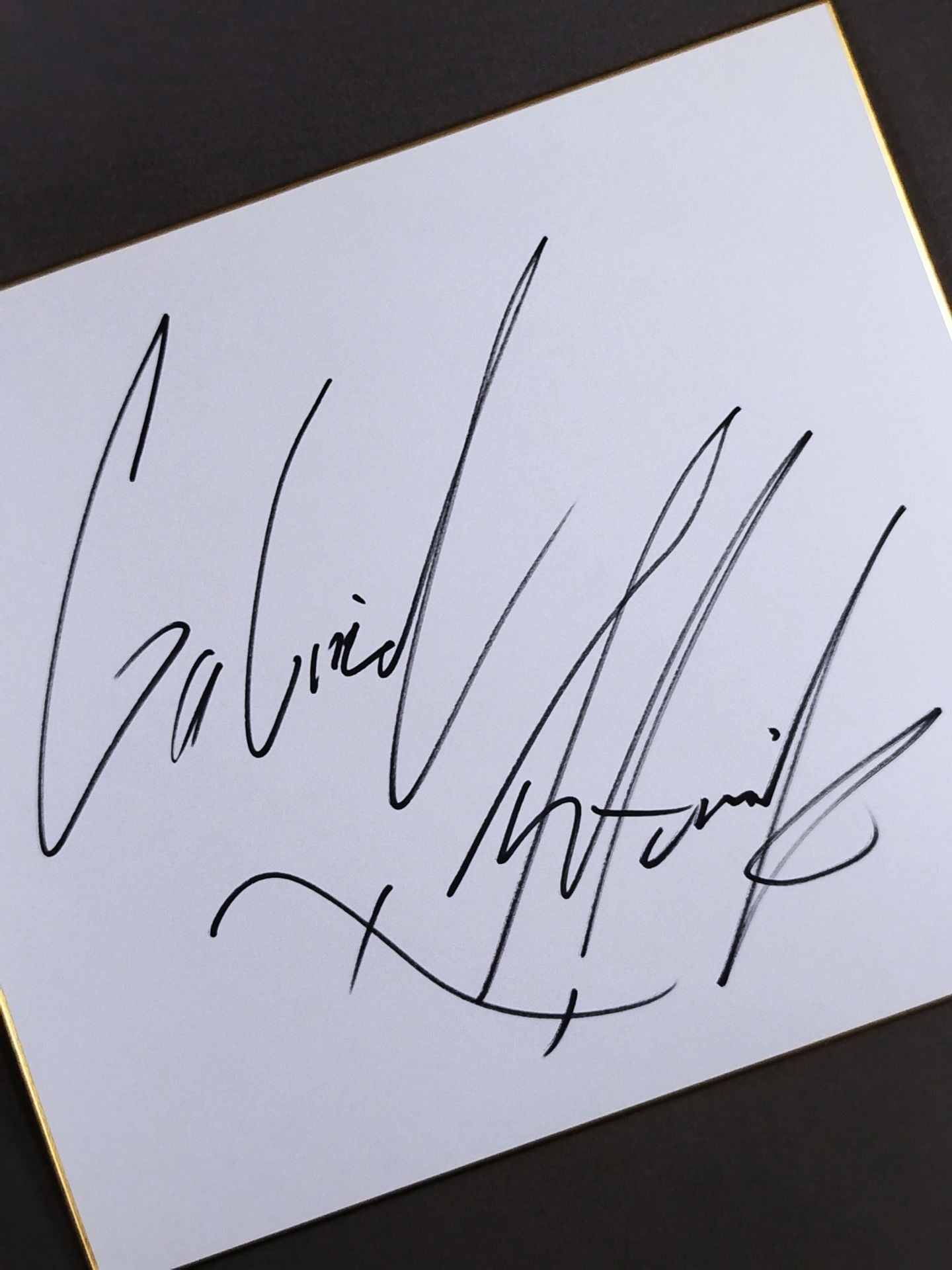 ガブリエル・アントニック