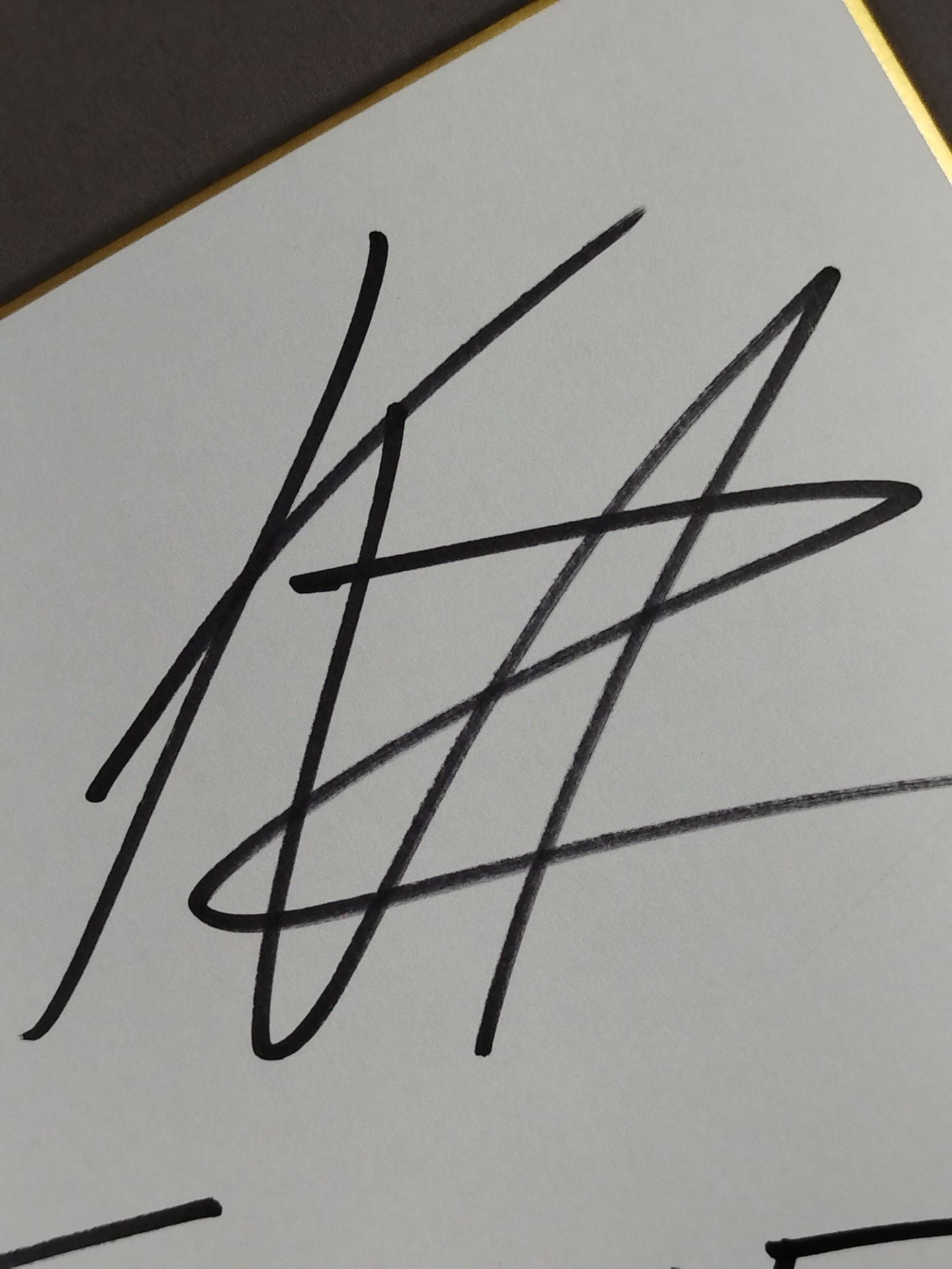 カザリアン(スーサイド)