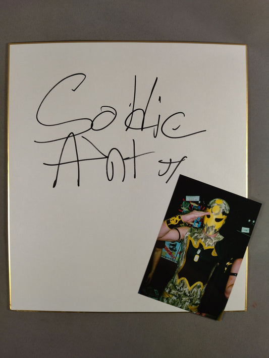 Soldier Ant (with photo)