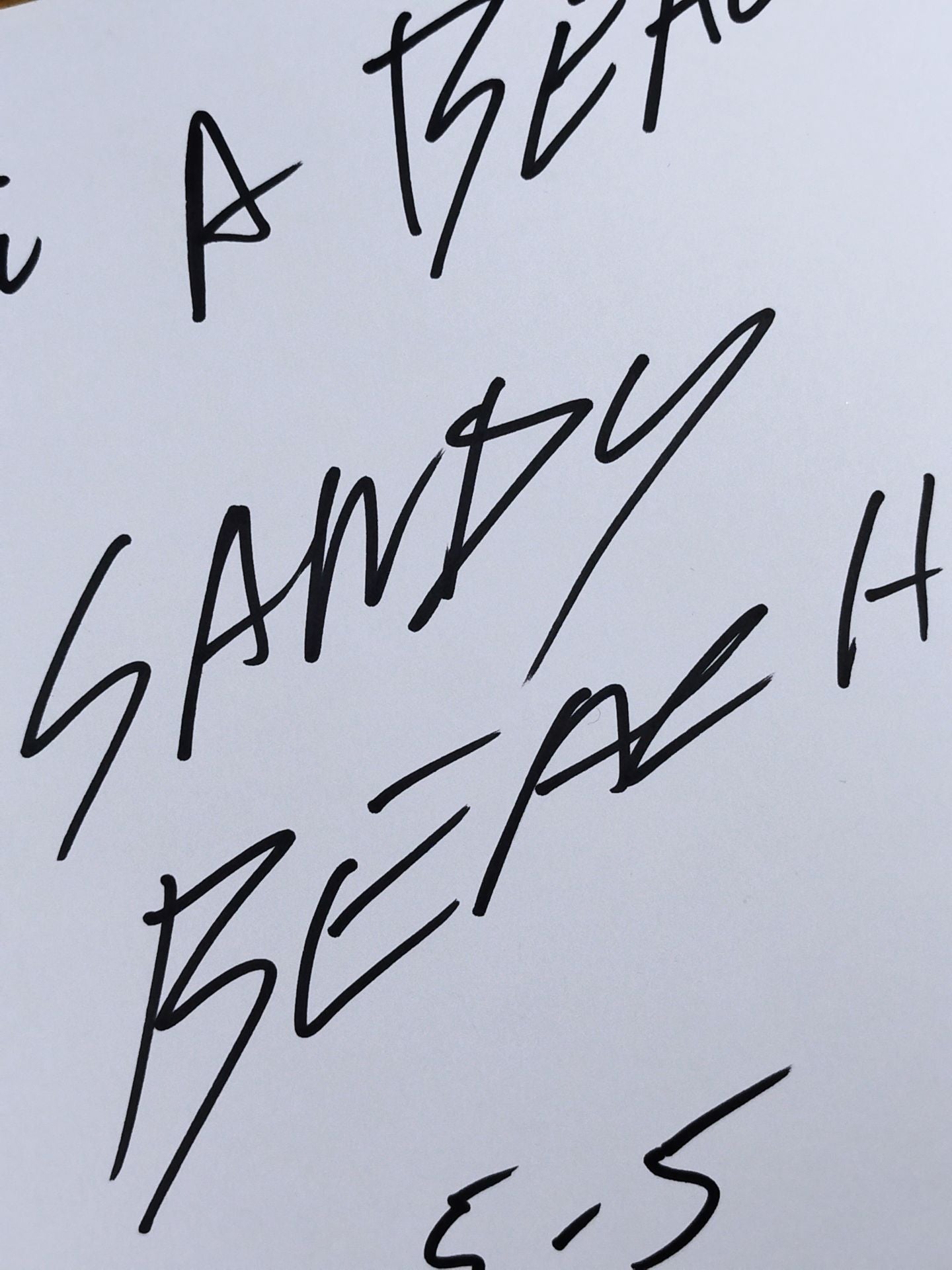 サンディー・ビーチ