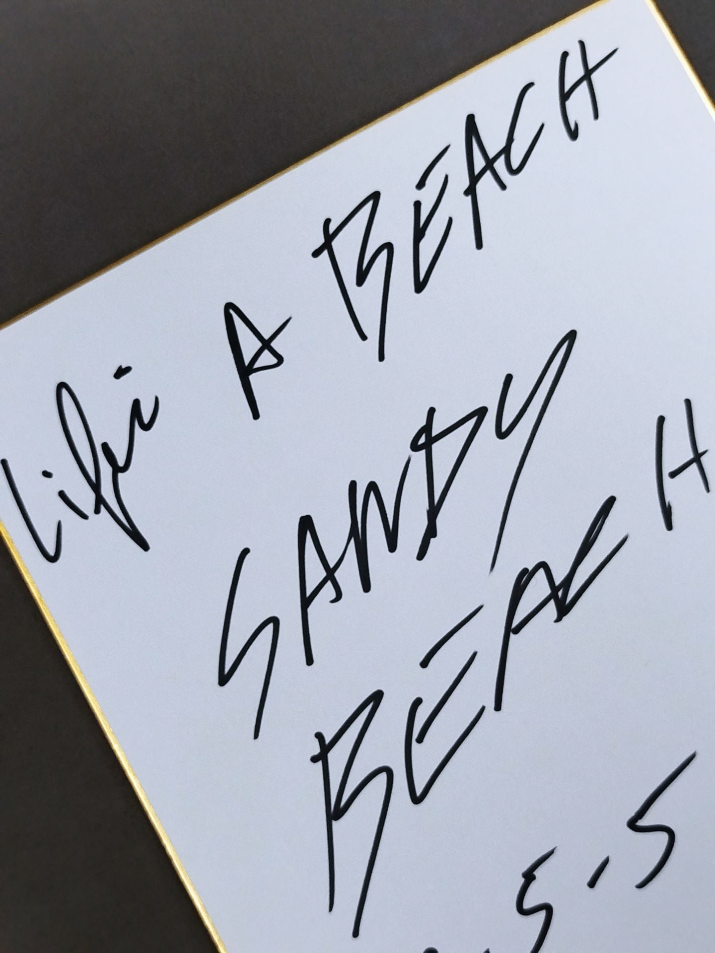 サンディー・ビーチ