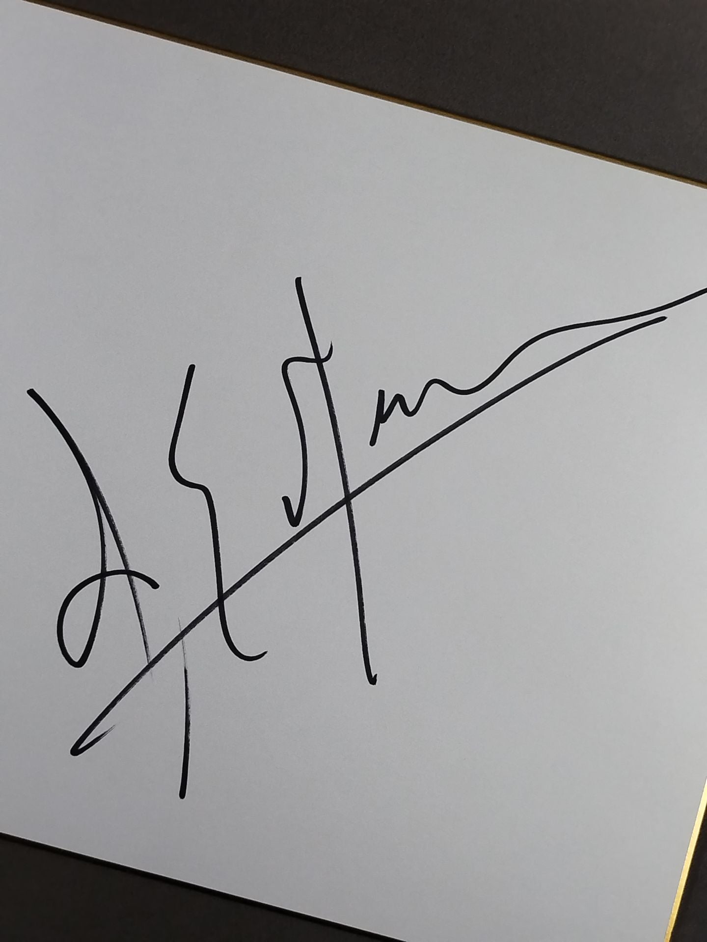 ジョー・メガロドン