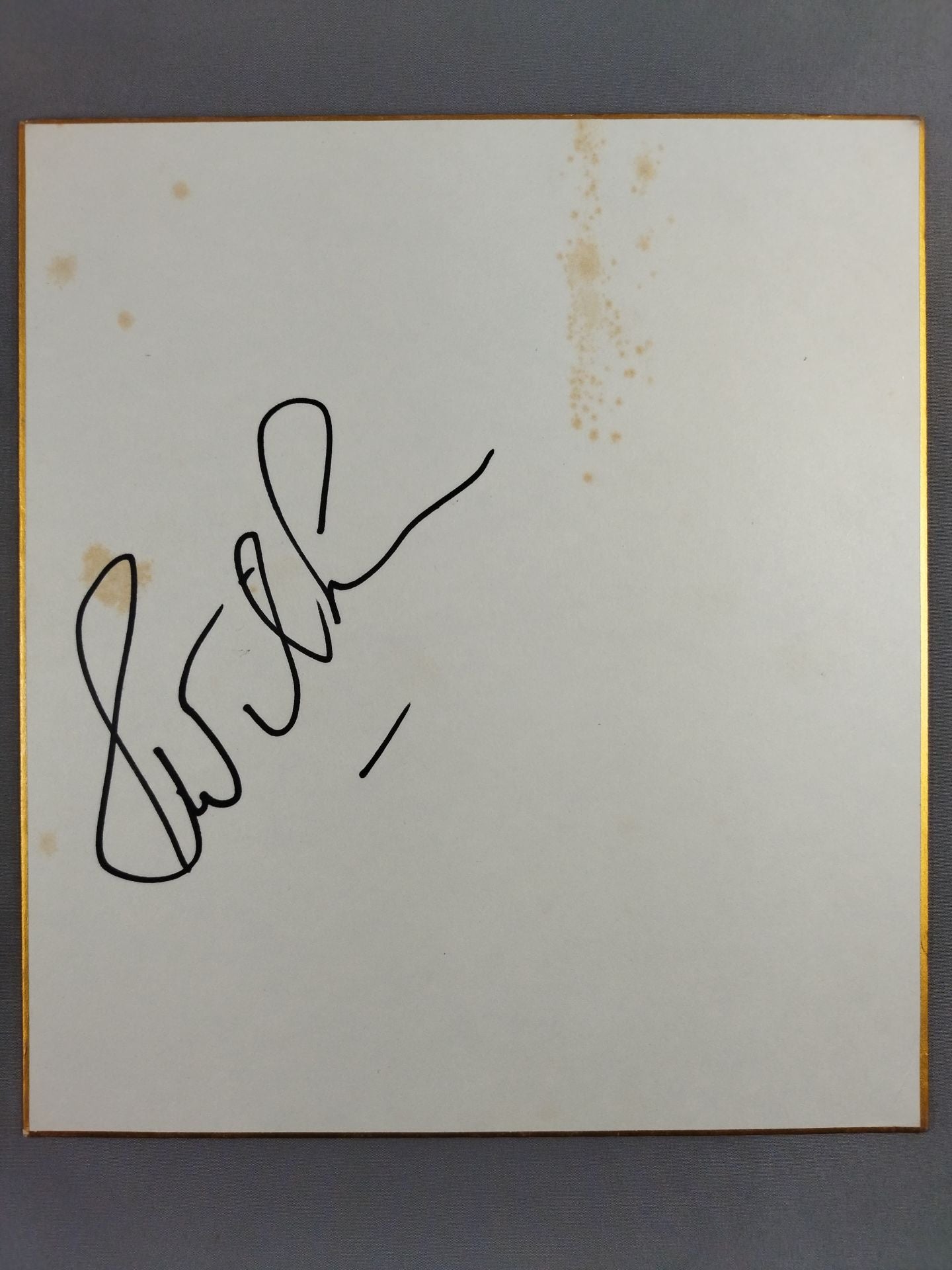 ジャン・ウィルキンス