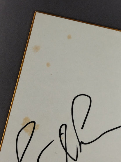 ジャン・ウィルキンス