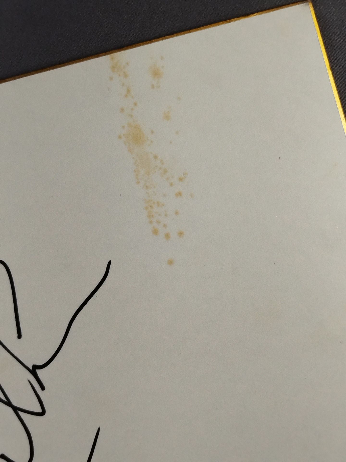 ジャン・ウィルキンス