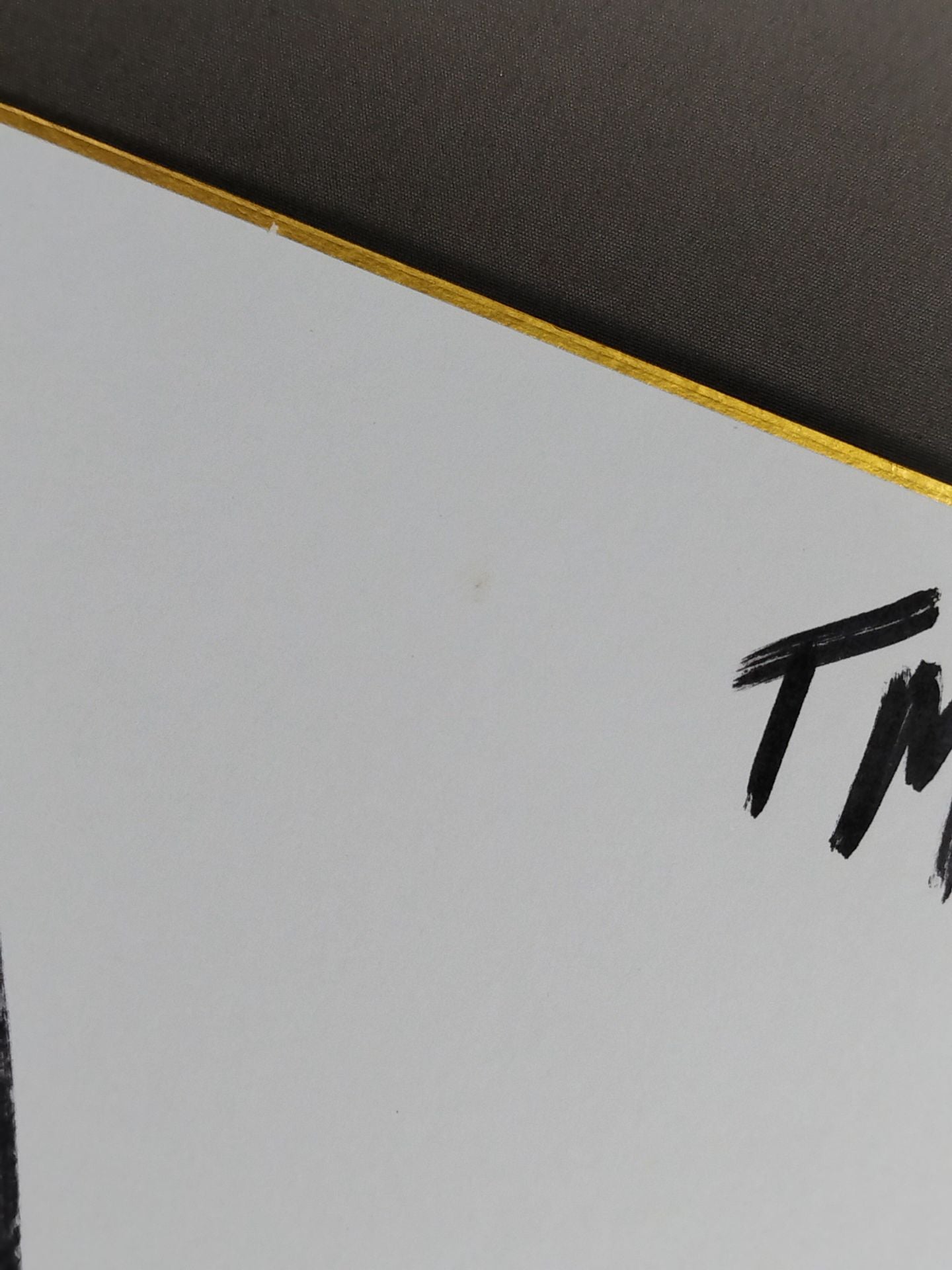 シェイン・ヘイスト