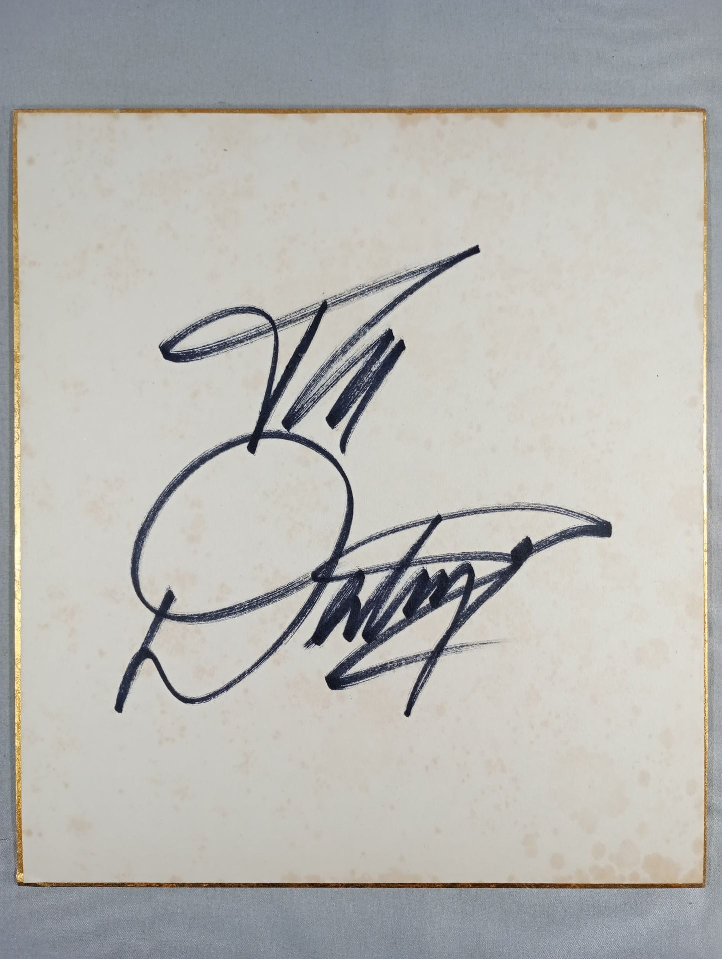 ザ・デストロイヤー