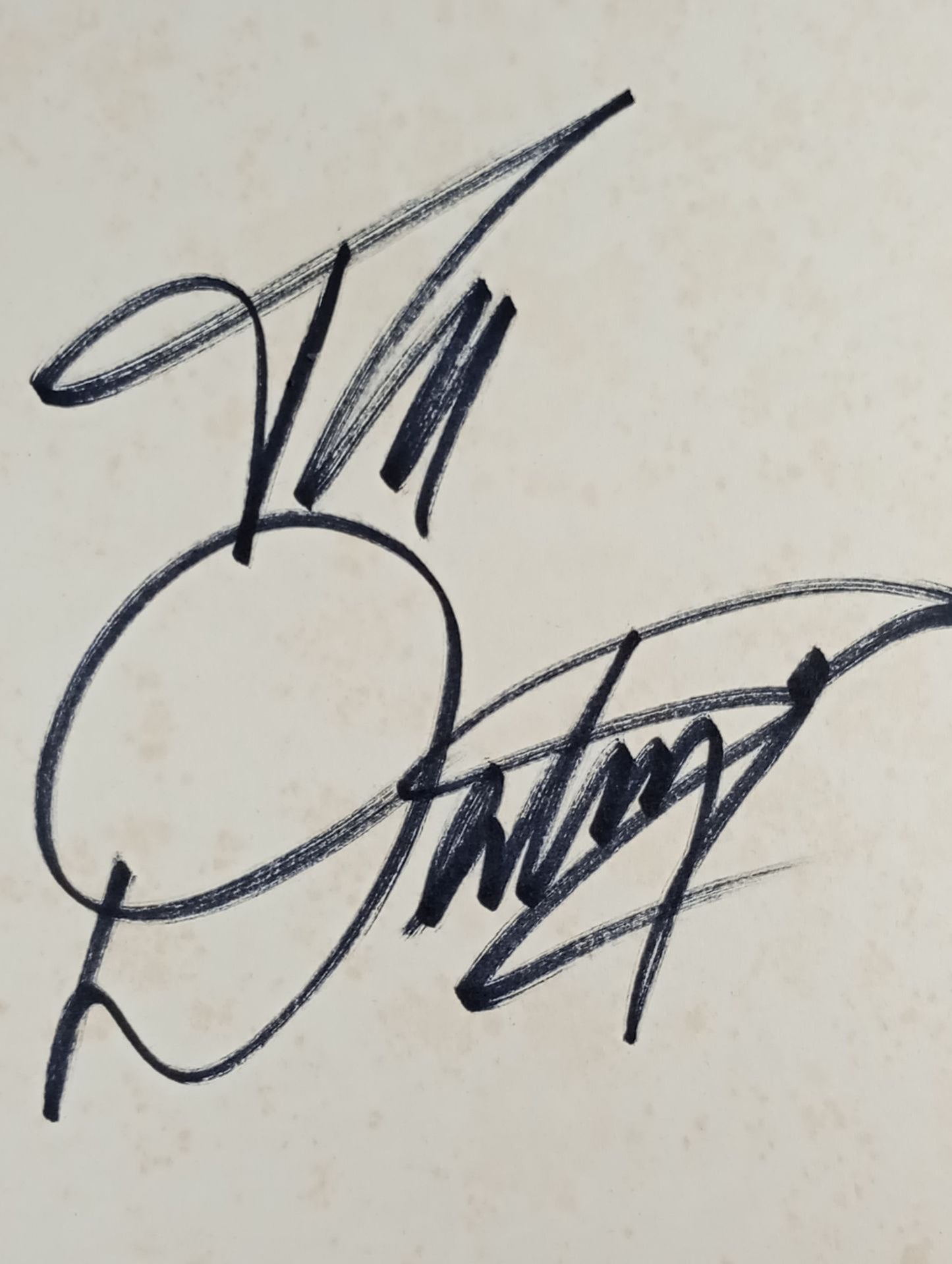 ザ・デストロイヤー