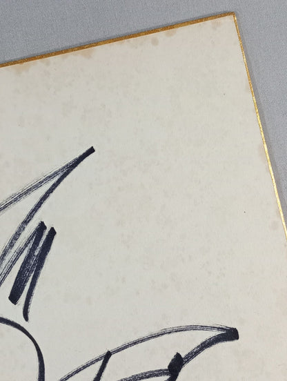 ザ・デストロイヤー