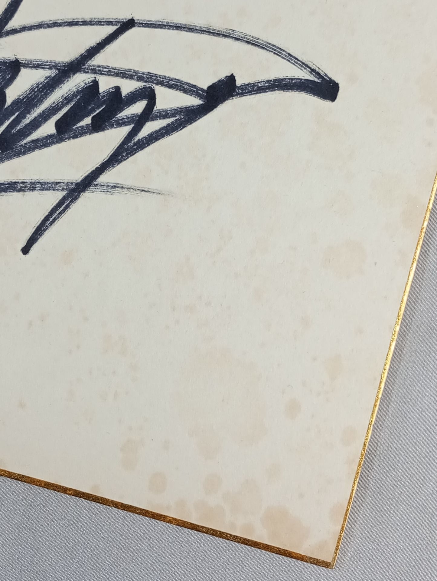 ザ・デストロイヤー