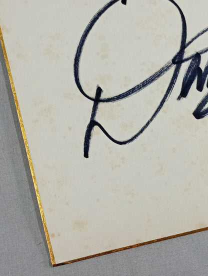 ザ・デストロイヤー