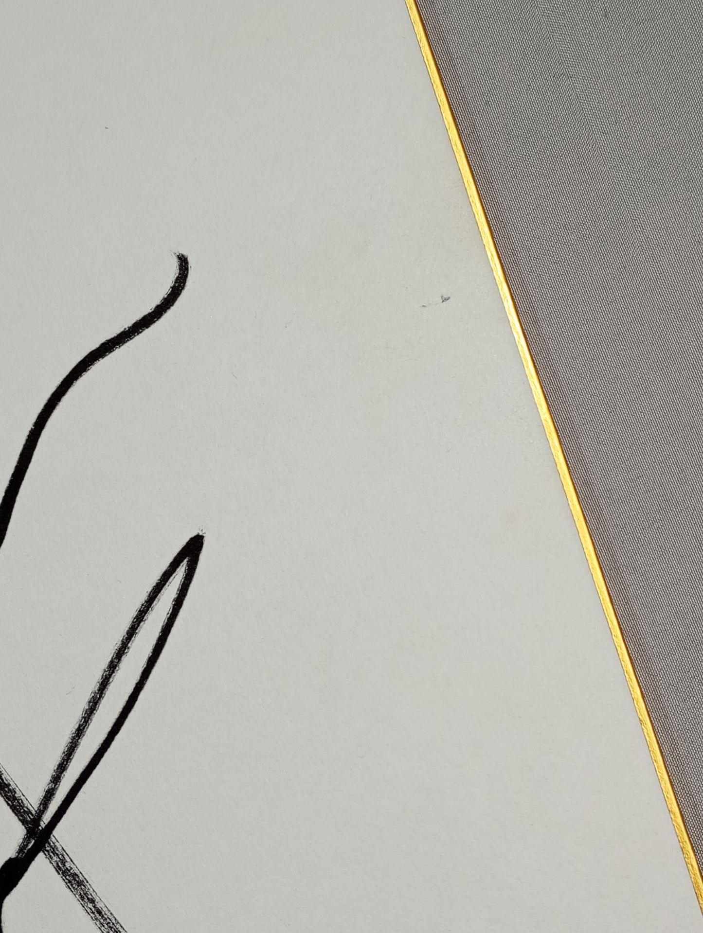 シェイン・ヘイスト