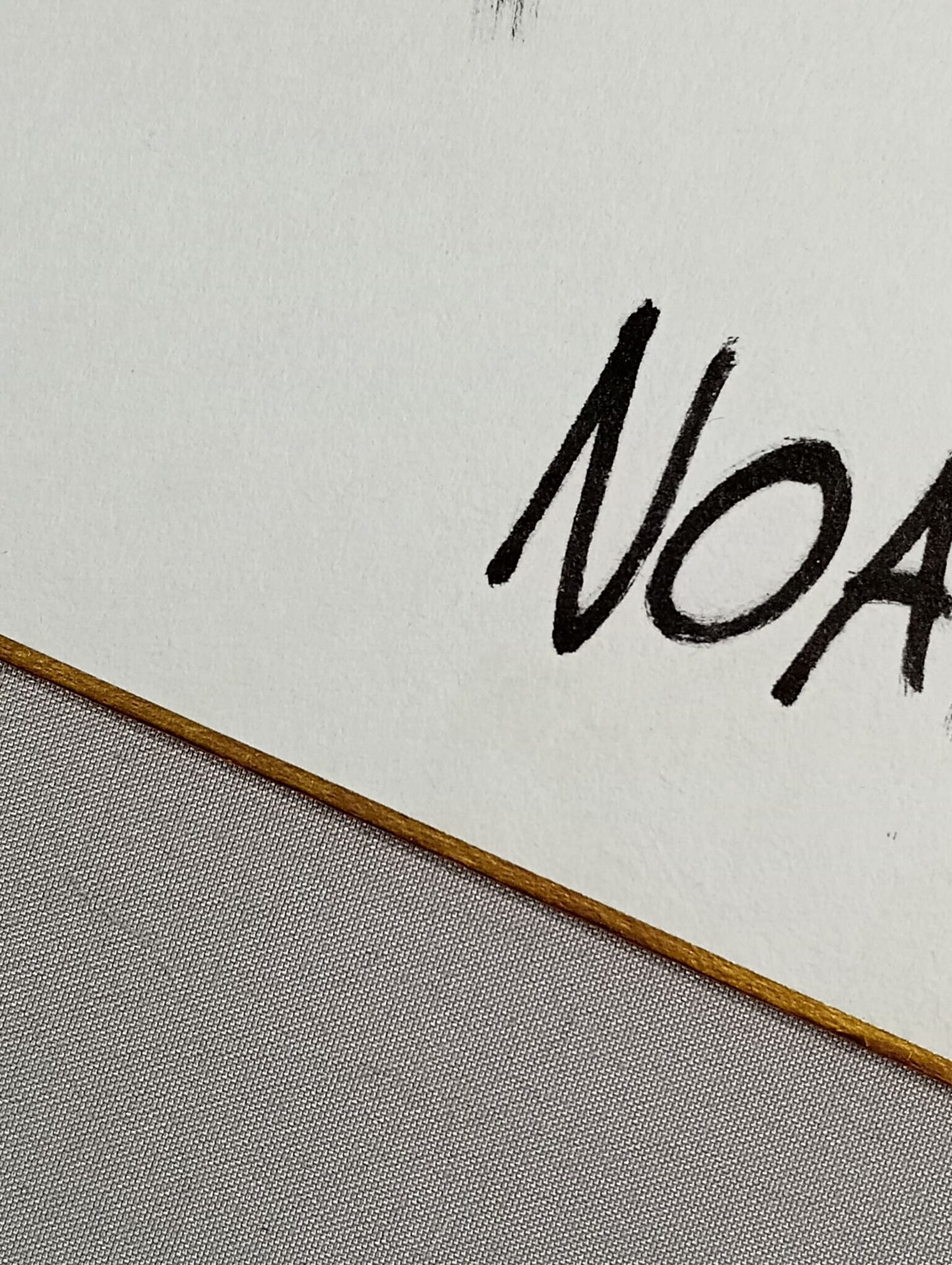 シェイン・ヘイスト