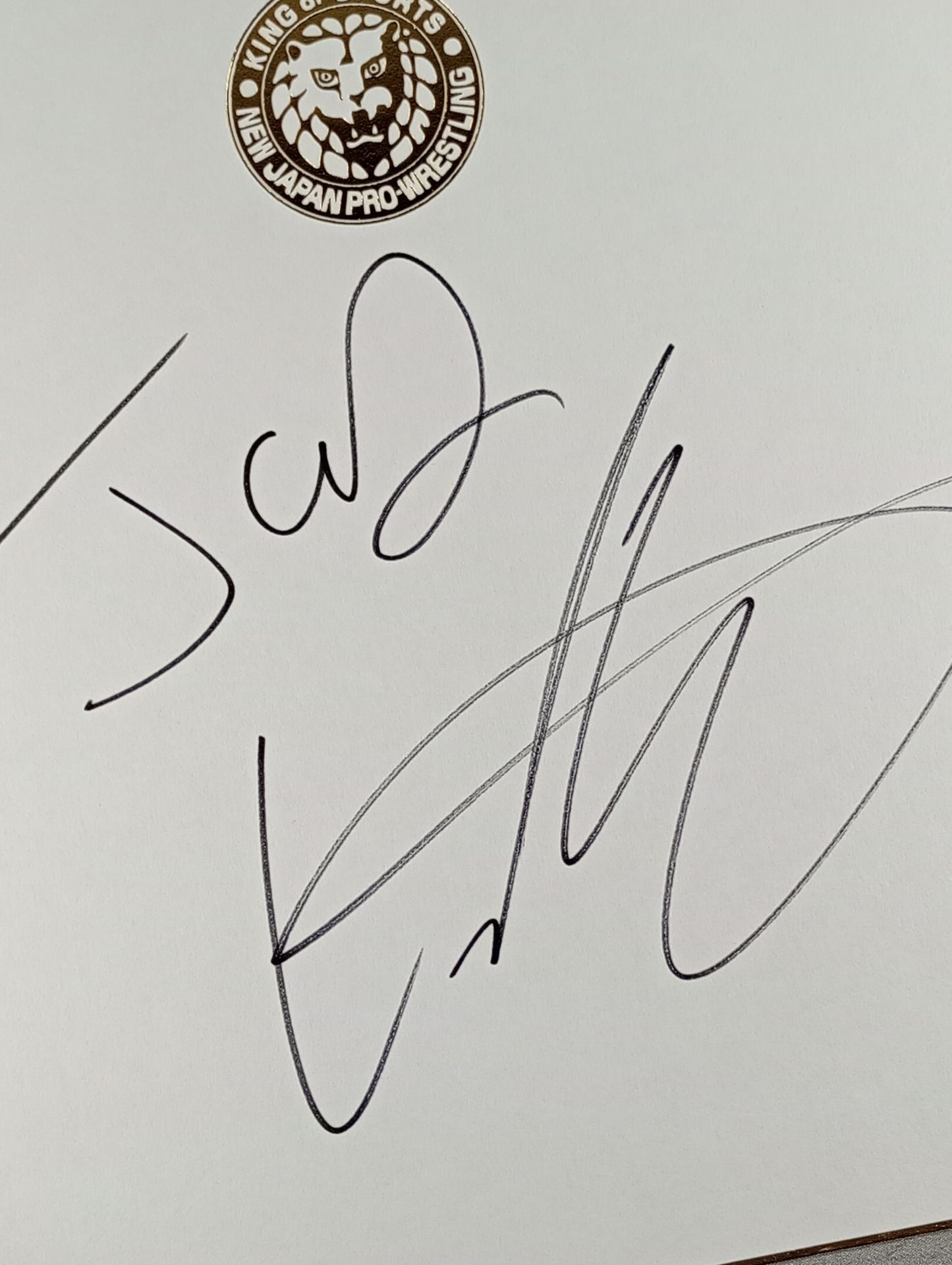 ジェイ・リーサル(ライオンマーク色紙)