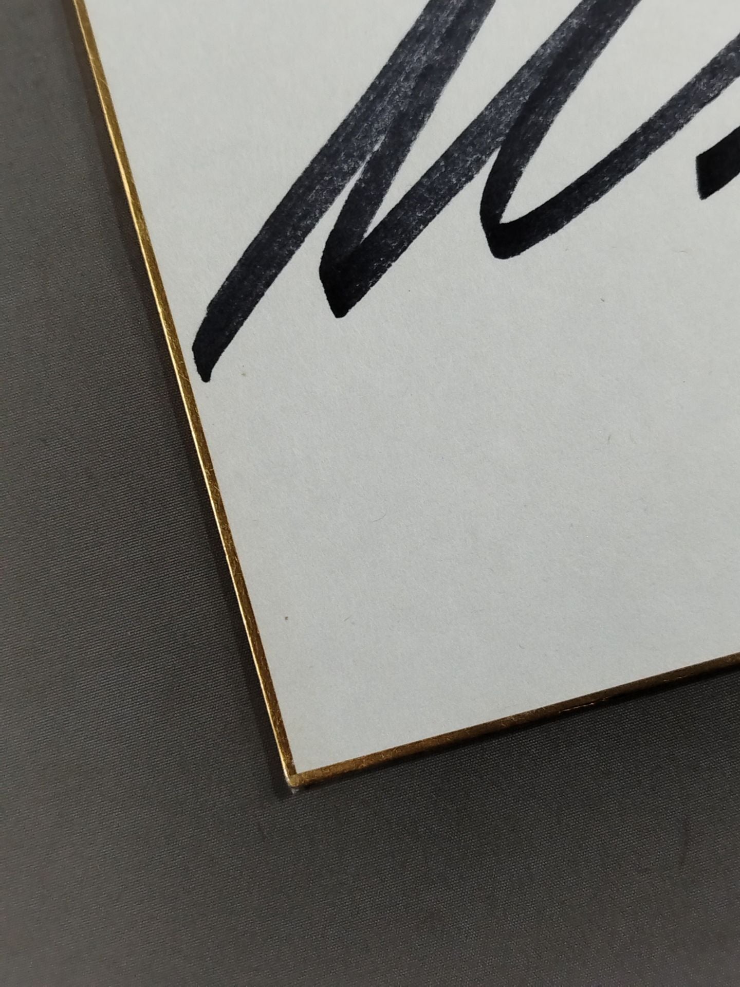 スコッティ・ウイリアムス