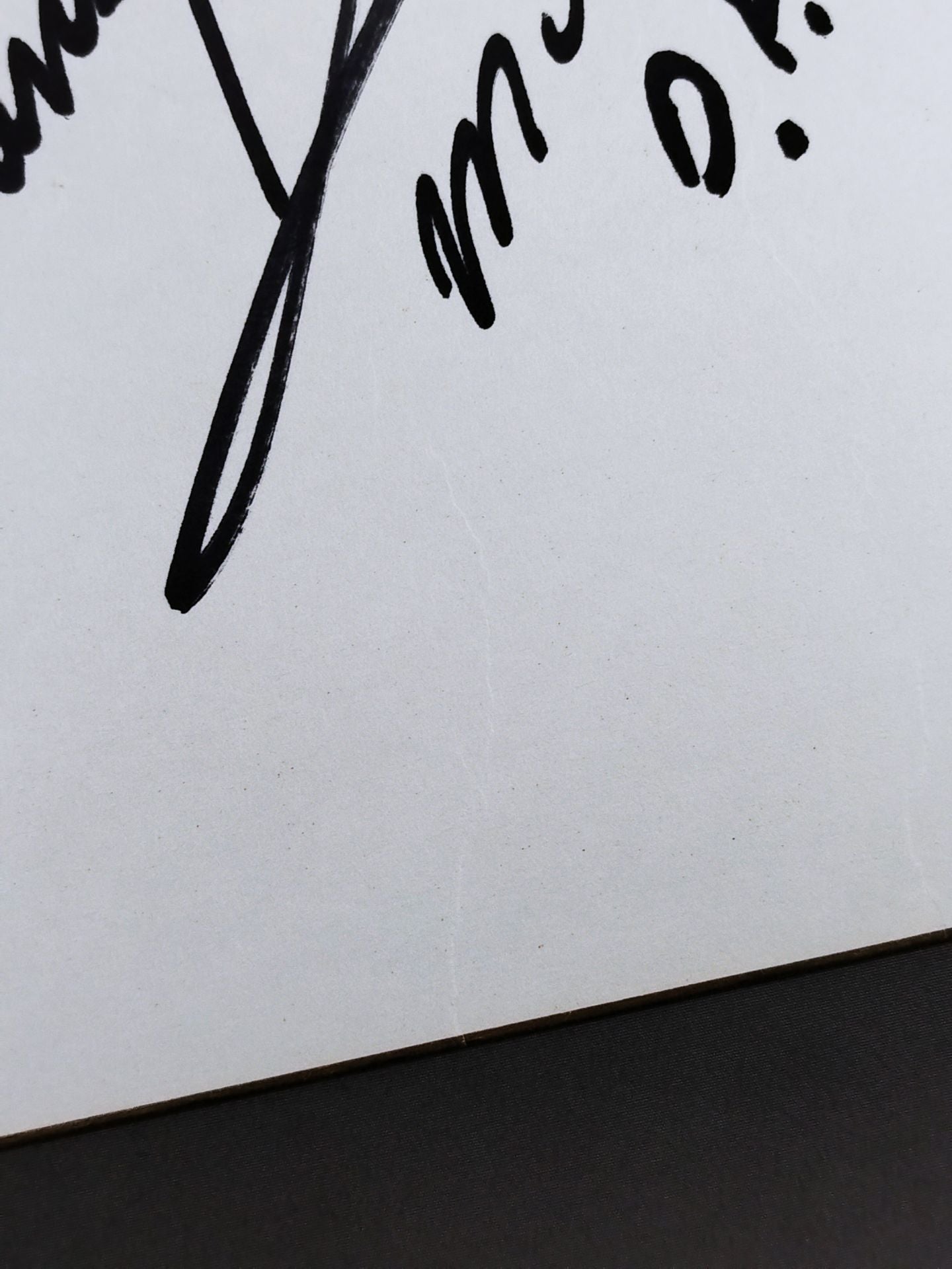 トランスフォルメル