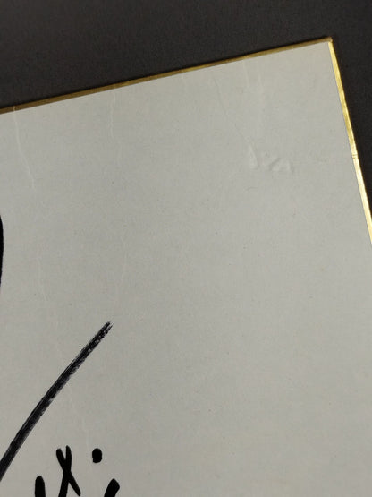 トランスフォルメル