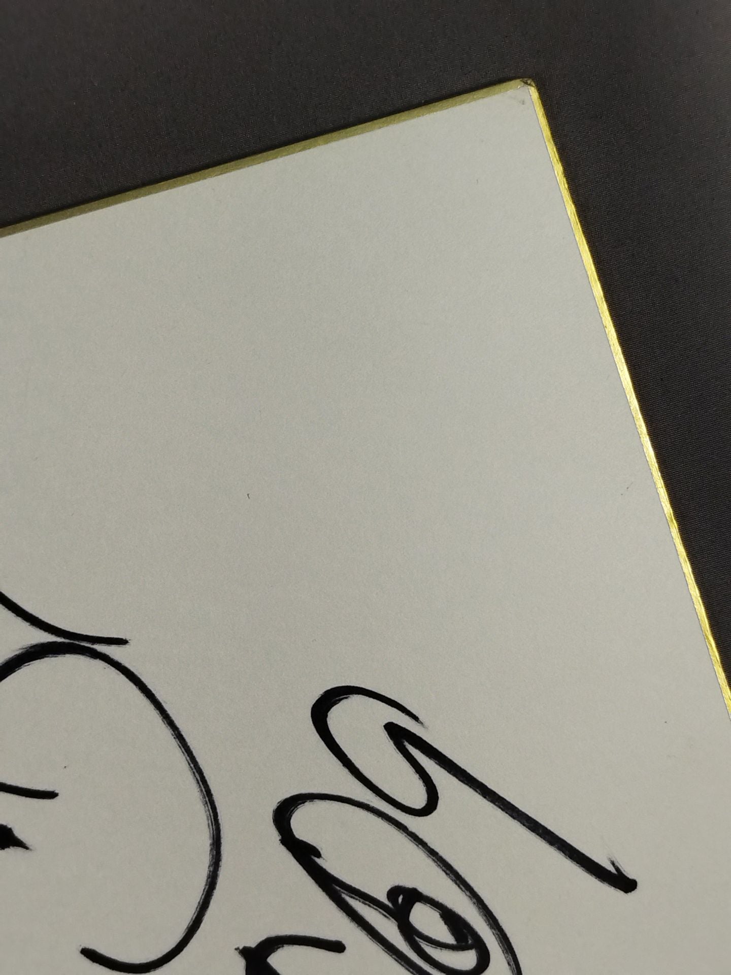 トンガ・キッド