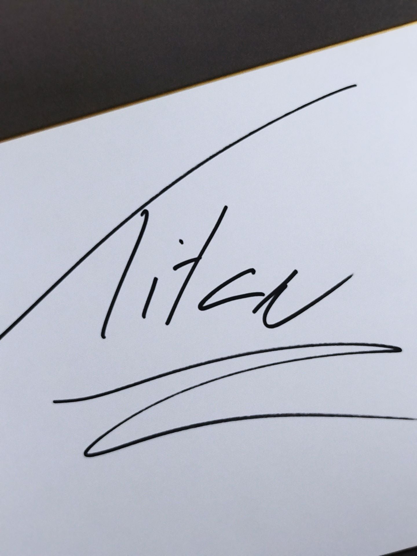 タイタン・レックス