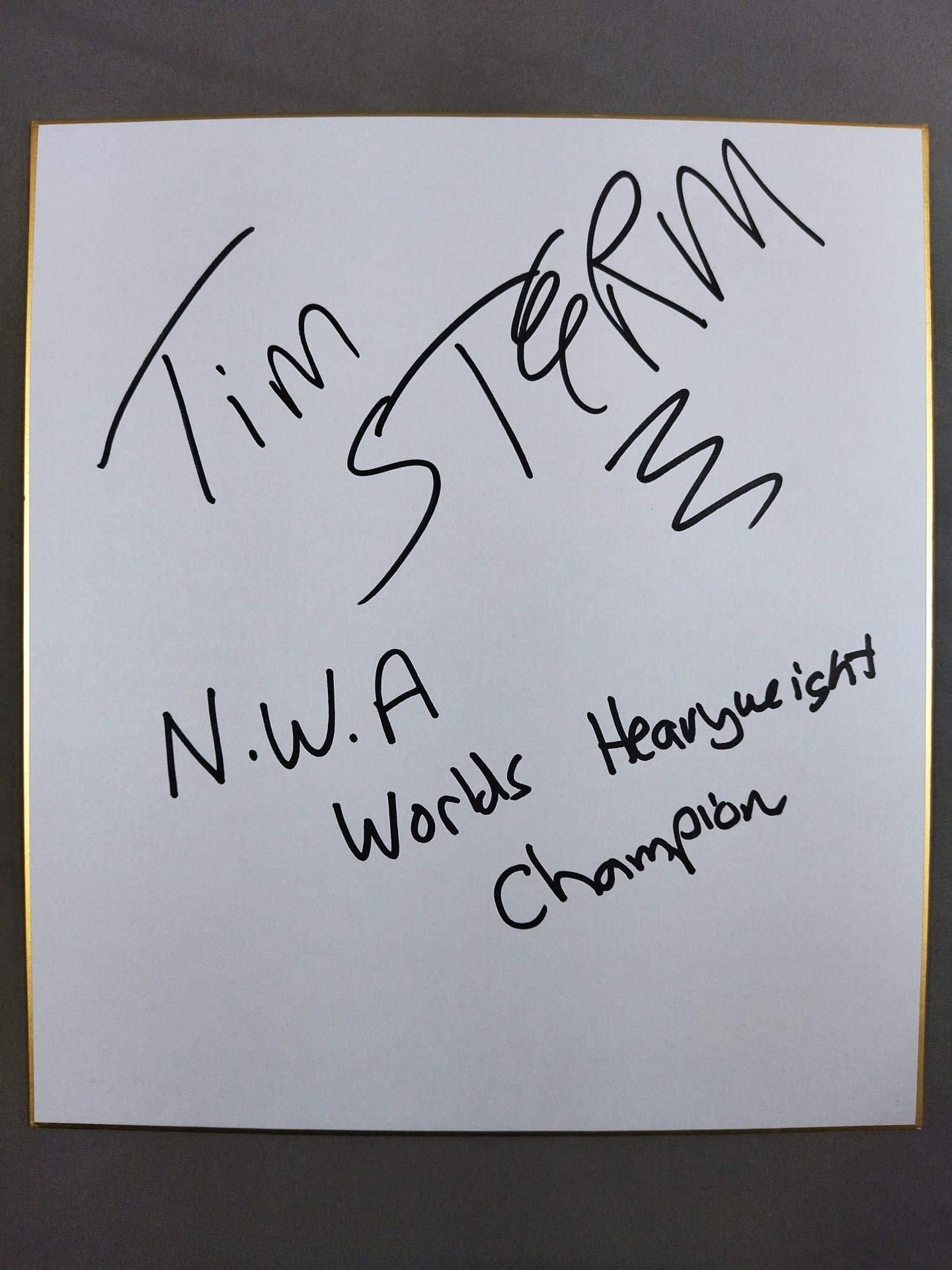 ティム・ストーム