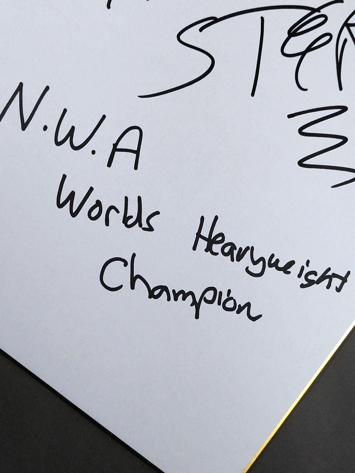 ティム・ストーム