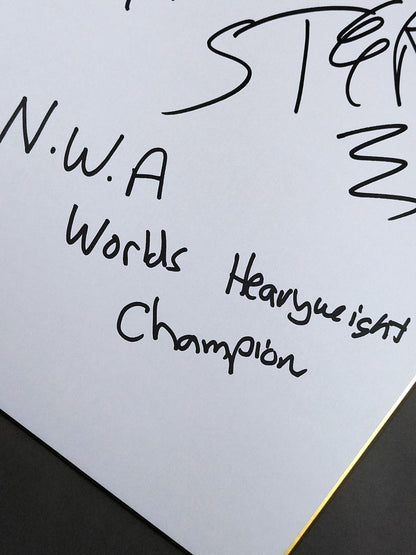 ティム・ストーム