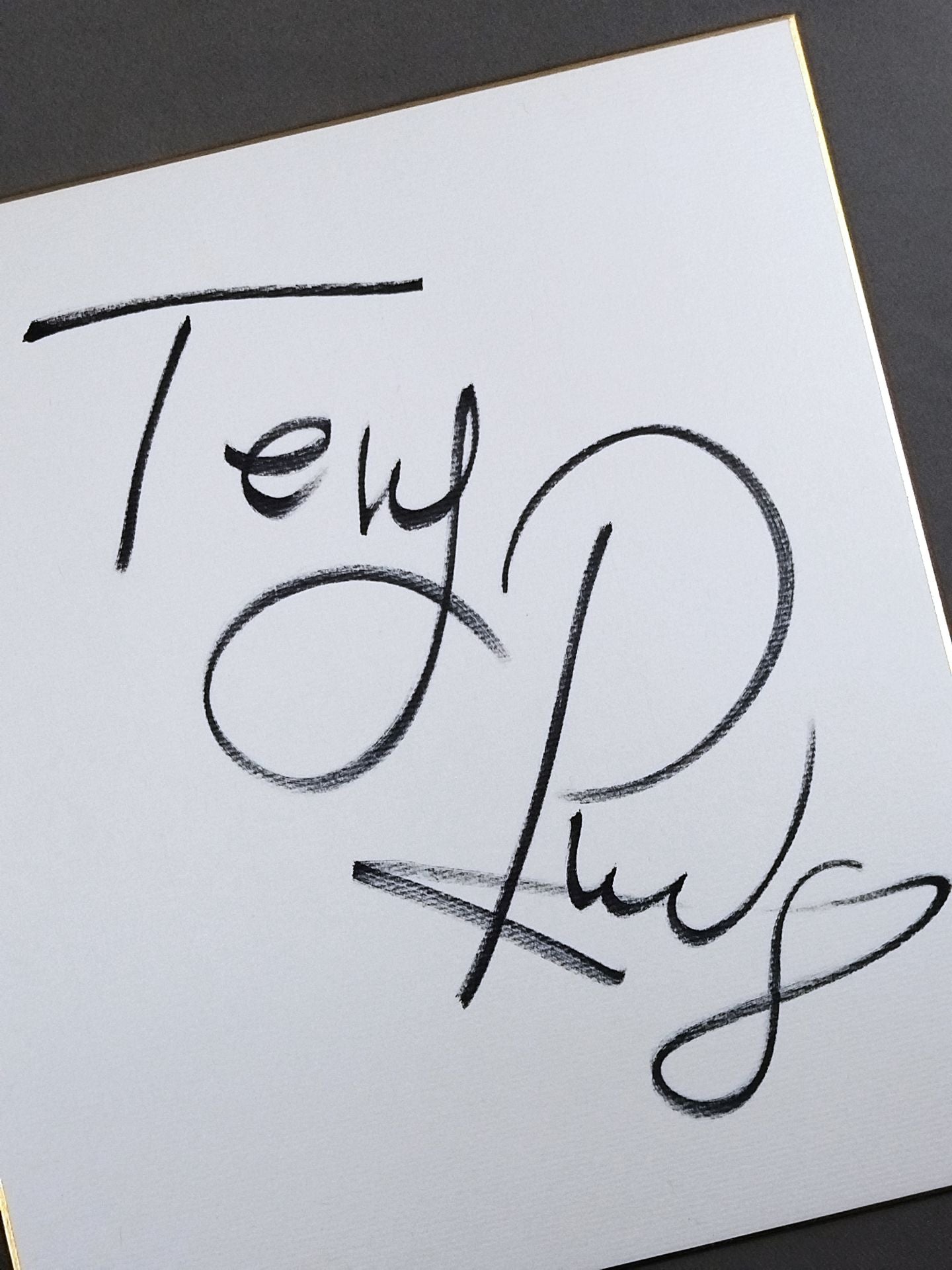 テリー・ロッヂ