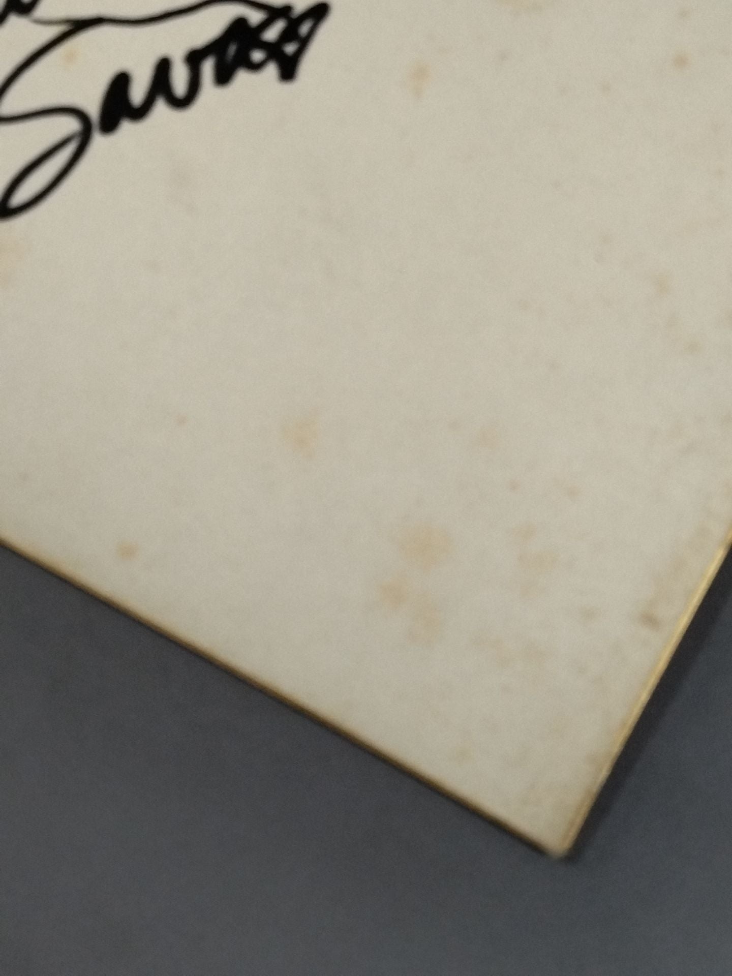 ダッチ・サベージ