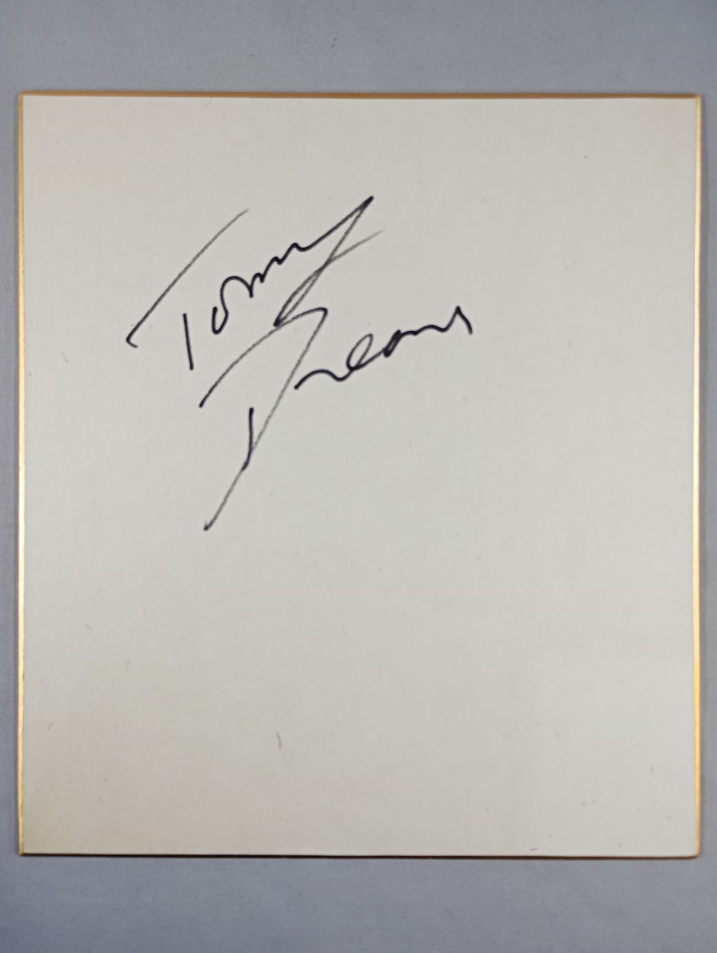 トミー・ドリーマー