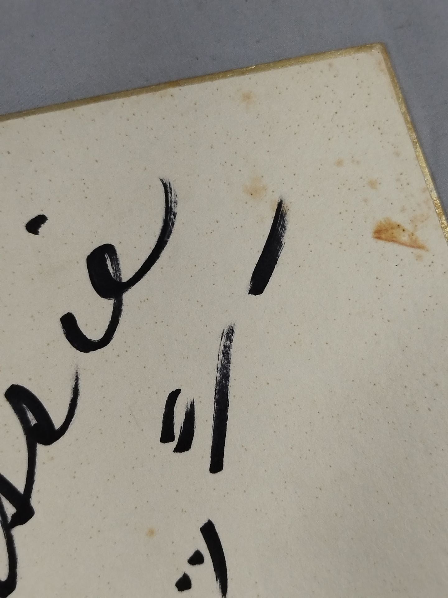 Fred Blassie  (with katakana)