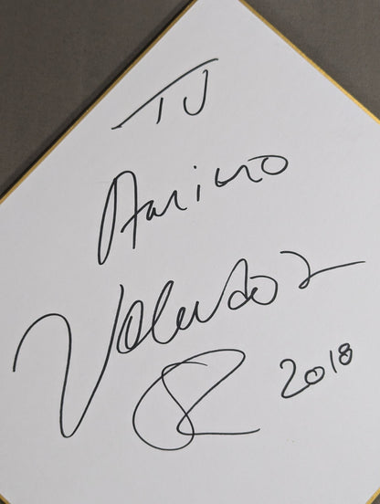 Volador  Jr.
