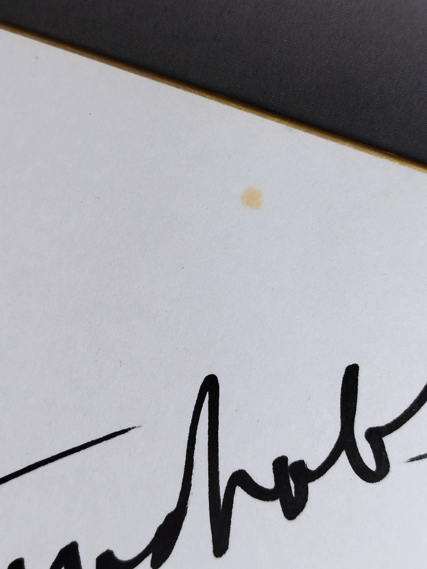 ★ The Untouchables Ice ★ & Buster