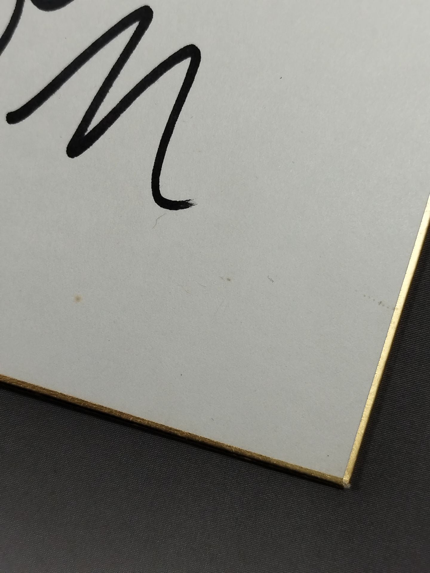 ★ The Untouchables Ice ★ & Buster