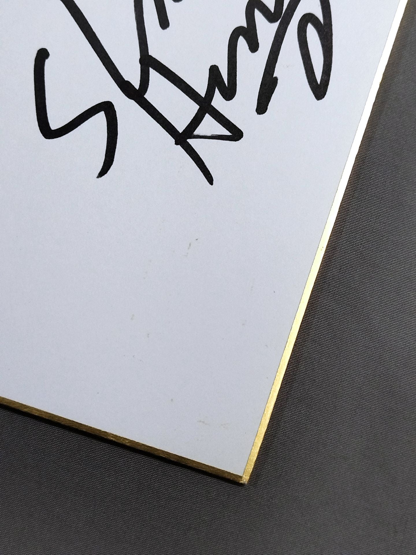 ショーン・ヘルナンデス＆ケイシー・ガイヤー