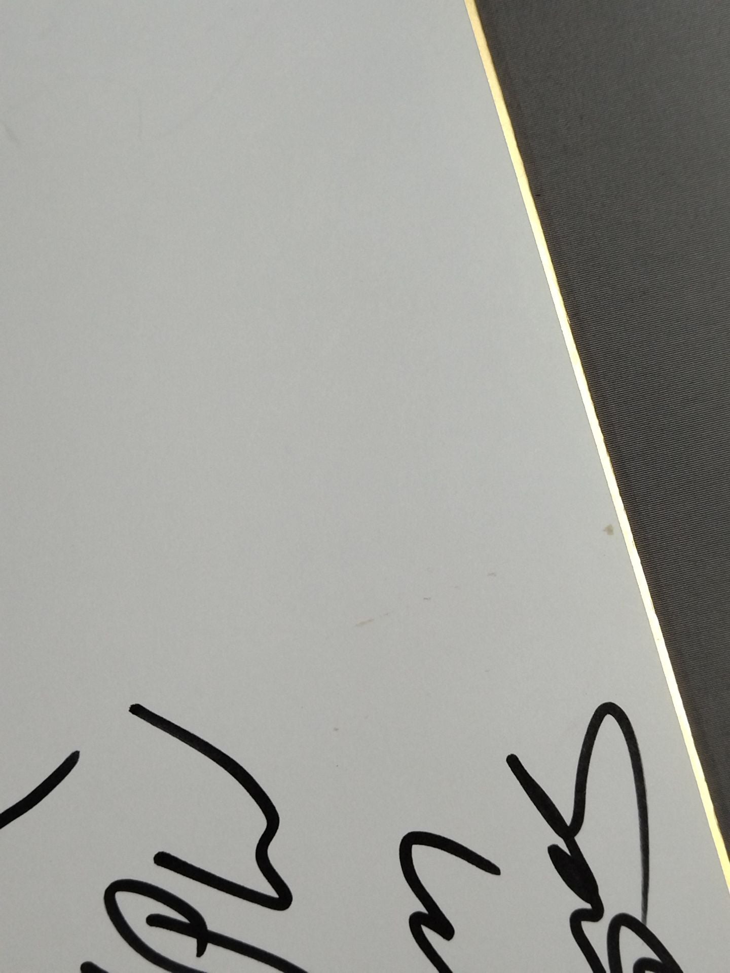 ショーン・ヘルナンデス＆ケイシー・ガイヤー